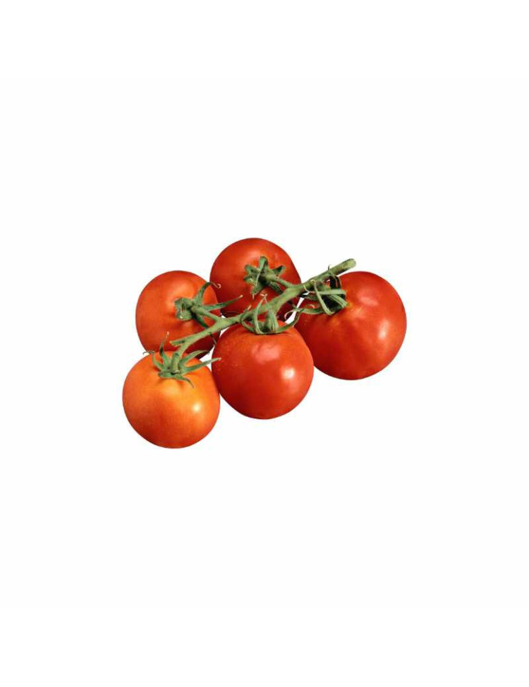 Tomate Ramajet (Rama) | Para untar y Cocina | fruotero.es