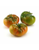 Tomate Raf Ambrosia