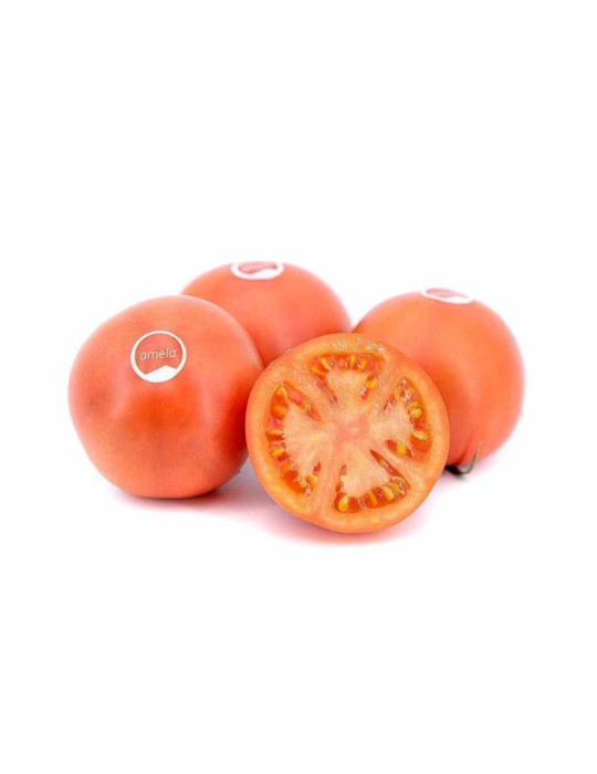Tomate Amela