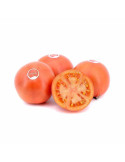 Tomate Amela