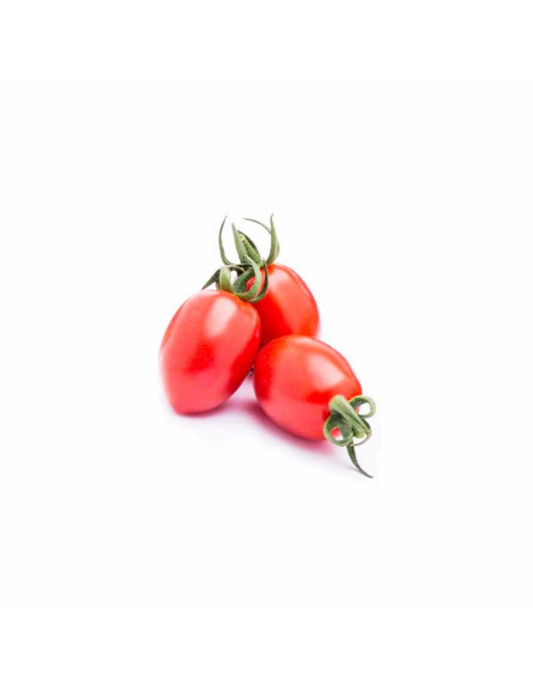 Tomate Cherry Lobello