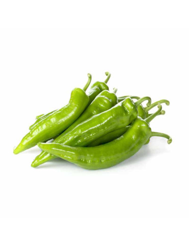 Pimiento Verde Italiano