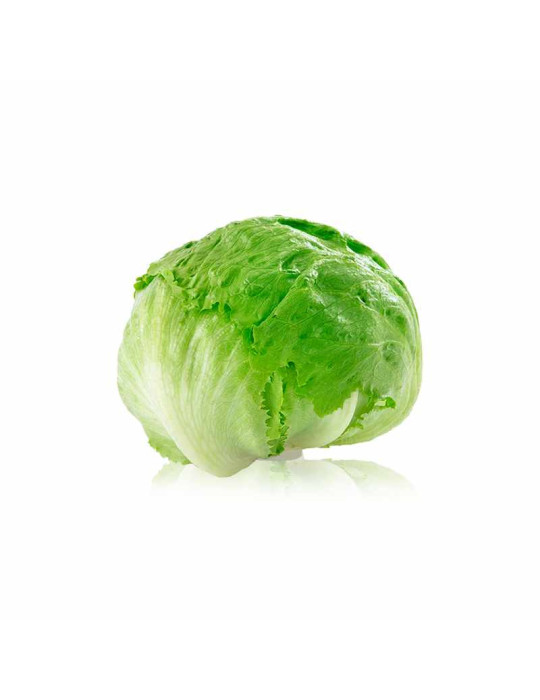 Lechuga Iceberg