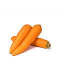 Zanahoria Fresca de Calidad - Dulces y Crujientes