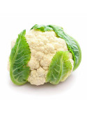 Coliflor Fresca de Temporada 🥕 - Comprar Online en Fruotero