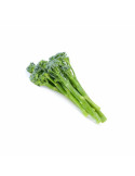 Bimi (Broccolini)