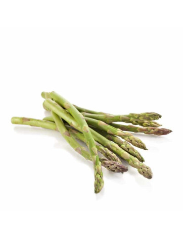 Espárrago Verde