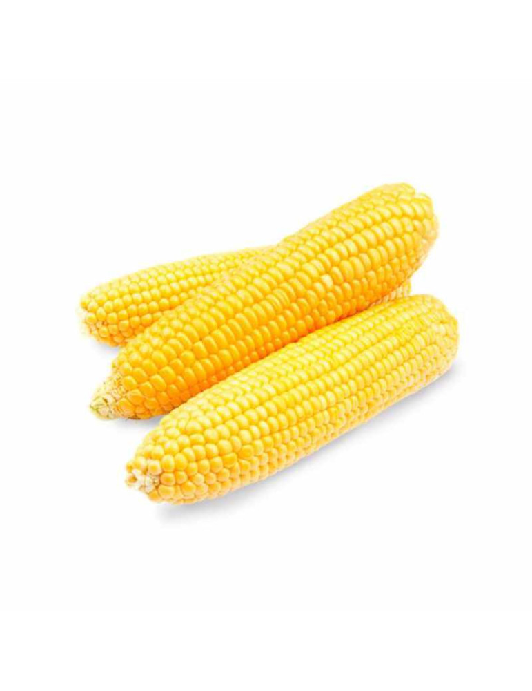 Maíz Mazorca