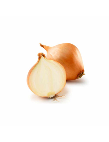 Cebolla