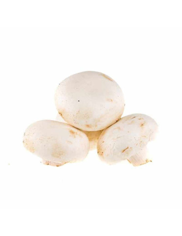 Champiñón Pie Cortado