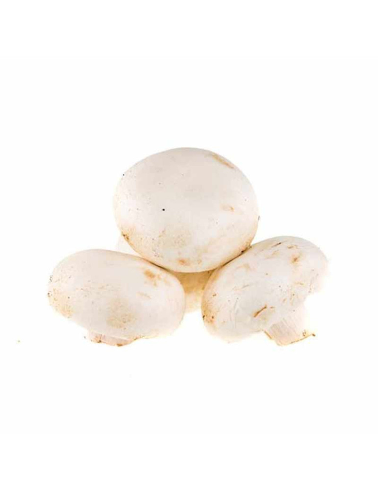 Champiñón Pie Cortado