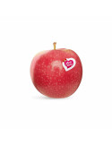 Manzana Pink Lady a Domicilio en Madrid - fruotero.es