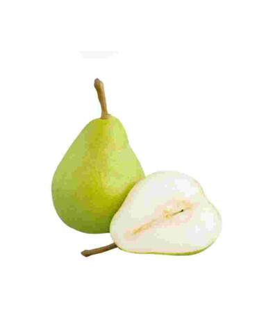 Pera de Agua Fresca | Máxima Jugosidad | fruotero.es
