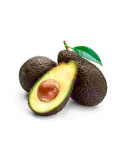 aguacate