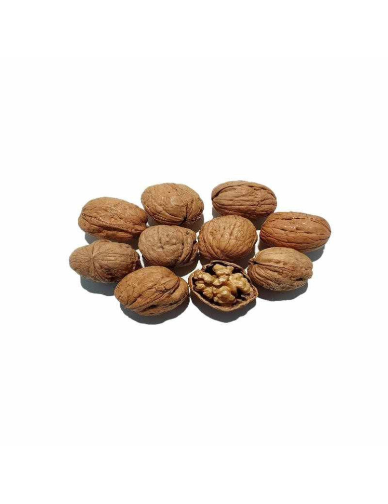 nueces