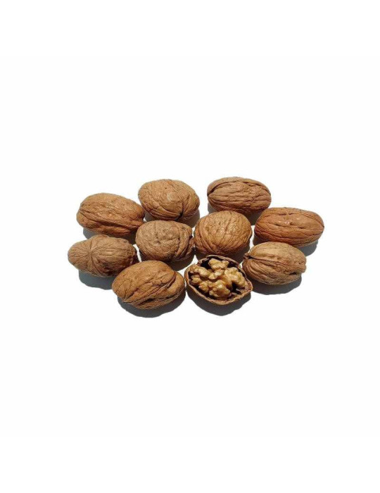 nueces