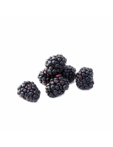 Moras Frescas del Bosque | Sabor Silvestre | fruotero.es