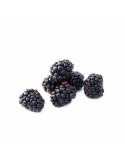 Moras Frescas del Bosque | Sabor Silvestre | fruotero.es