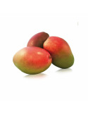 Mango de Málaga