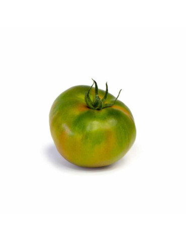 Tomate montenegro
