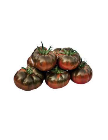 Tomate Iberiko