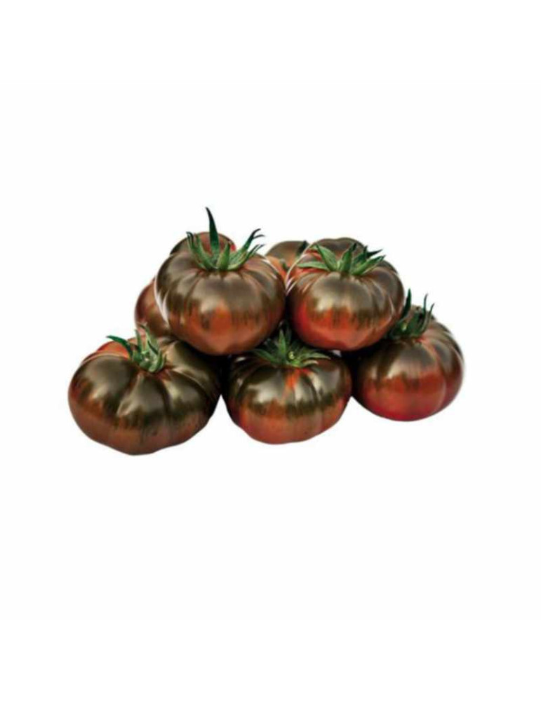 Tomate Iberiko
