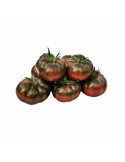 Tomate Iberiko