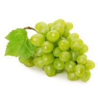 Frutas Mediterráneas y Viñas